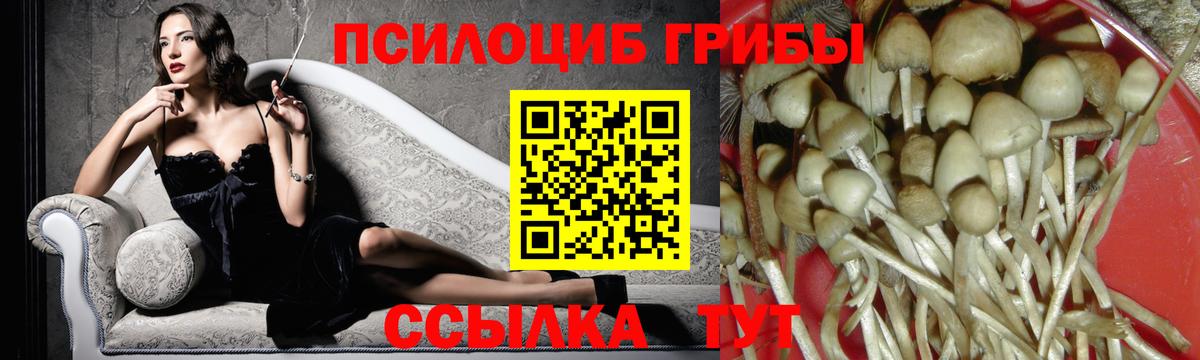 Псилоцибиновые грибы Psilocybine cubensis  Вход с VPN  Троицк  Псилоцибиновые грибы Psilocybine cubensis 